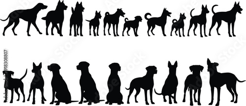Set of multiple black dog silhouettes featuring various breeds standing and sitting in two rows isolated on white background for pet care graphic design