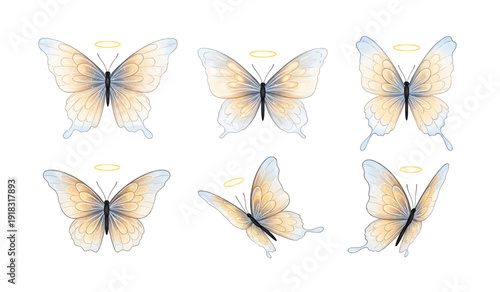 Six Butterflies with Yellow and White Wings.