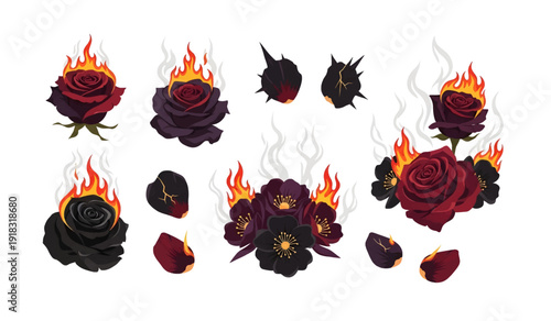 Burning Roses with Flames and Petals.