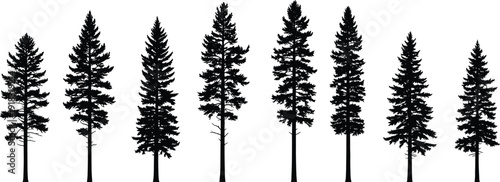  pine tree silhouettes coniferous evergreen timber forest icons isolated on white background for architectural visualization
