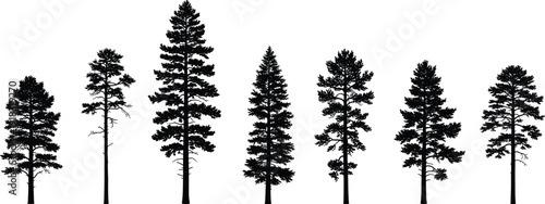 Set of seven realistic black pine tree silhouettes, coniferous evergreen timber forest icons isolated on white background for architectural visualization projects