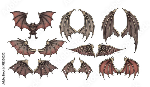 Collection of Bat Wings and Bodies.