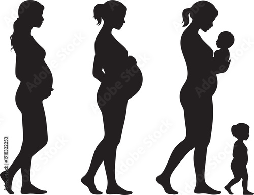 Pregnancy and motherhood life stages silhouette vector for maternity healthcare child development and family growth concepts