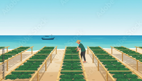 Sunlit Seaside Scene With Rows of Lounge Chairs and Calm Blue Ocean.