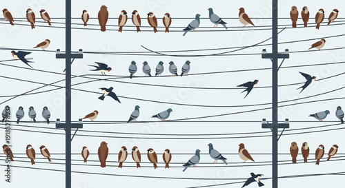 Rows of Small Birds Perched on Multiple Utility Wires Across a Weathered Fence.