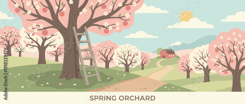 Flat vector illustration of a spring orchard in full bloom with pink flowering fruit trees, a rustic wooden ladder, a winding path leading to a red barn, and rolling hills under a sunny sky.