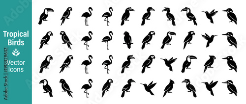 Set of 32 Tropical Bird Species Silhouettes Vector Icons Featuring Toucan, Parrot, Flamingo, Hornbill, Hummingbird, Kingfisher, Macaw, and Cockatoo for Nature, Wildlife, and Infographic Design.