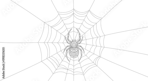 Intricate spider web with ornate spider in center