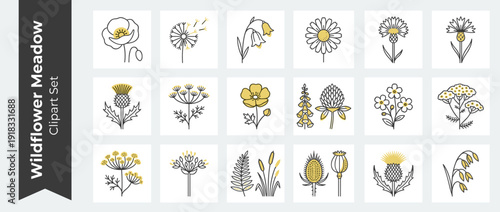 Vector Clipart Set of 20 Wildflower Meadow Botanical Elements in Flat Design Style. Clean Monochrome Line Art with Yellow Accents Featuring Poppy, Dandelion, Daisy, Thistle, Clover, and Fern Icons.