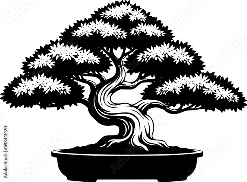 Bonsai tree black icon on white background. Potted bonsai silhouette. Isolated vector illustration. Front view
