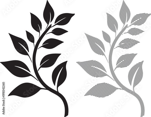 Black silhouette and hatched outline of a leafy branch on a white background leaves