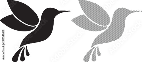 Hummingbird Silhouette and Striped Outline on White Background (162