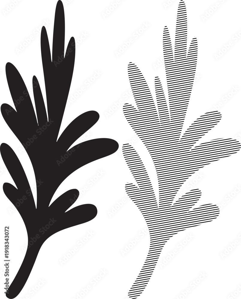 Fototapeta premium Stylized leaf silhouette and lined fill version on white background plant nature