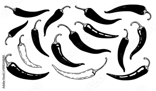 Spicy chili pepper hand drawn vector collection