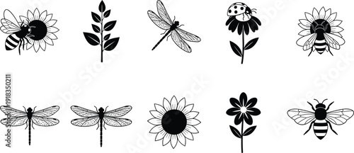 Set of nature and garden vector icons, honeybee dragonfly ladybug and floral blossoms, botanical insect illustrations for environmental and organic design,
