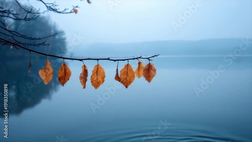 Wallpaper Mural A branch with brown leaves hangs over a misty lake, with hints of trees in the background Torontodigital.ca