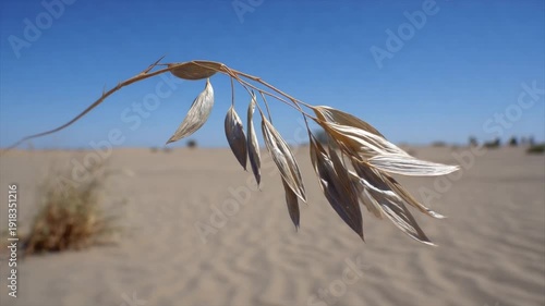 Wallpaper Mural A detailed view shows dried grass against a desert landscape and a clear blue sky Torontodigital.ca