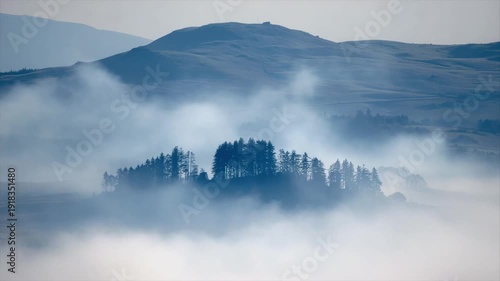 Wallpaper Mural Mountains shrouded in mist, with a cluster of trees partially visible, creating a serene landscape Torontodigital.ca