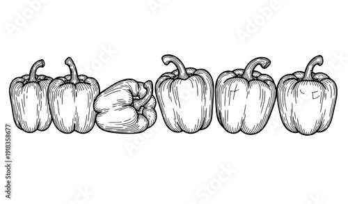 Hand drawn monochrome bell peppers vector row