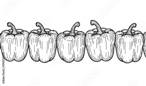 Botanical bell pepper line art vector collection