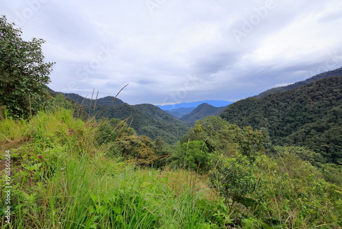 Bellavista Cloud Forest Reserve, Ecuador
