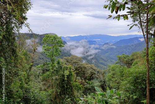 Bellavista Cloud Forest Reserve, Ecuador