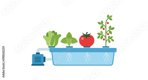 Hydroponic Garden Image, Vector Illustration, Flat Design, Sustainable Farming Concept