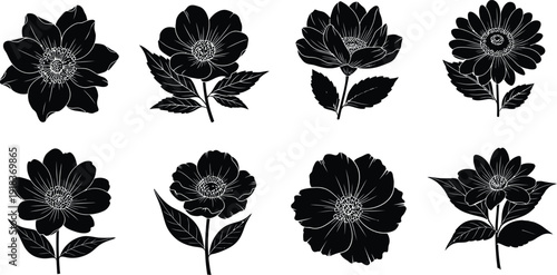 Collection of eight black silhouette flowers on white background
