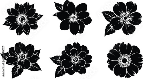 Six black and white floral designs on white background