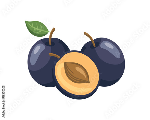 Fresh purple plums with green leaves whole and halved. Illustration.