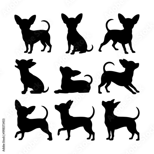 Various positions of playful chihuahuas represented in silhouette style on a simple white background