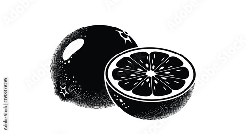 Black and white illustration of a kumquat and its halved counterpart