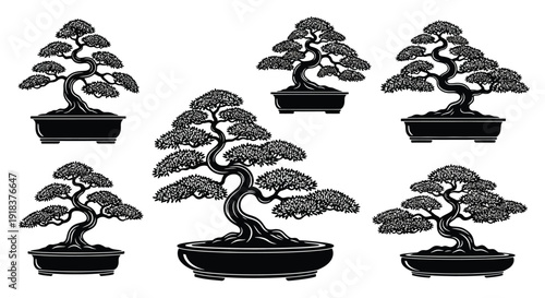 A collection of five black and white bonsai trees in various shapes and sizes