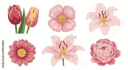 Close Up Illustration of Fresh Flowers with Realistic Water Drops