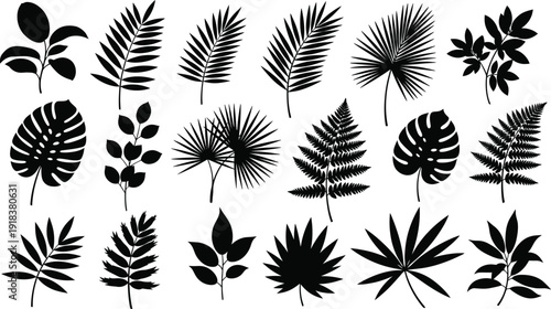 Collection of diverse leaf silhouettes on white background