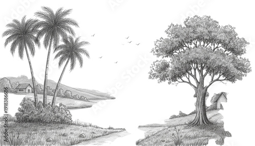 Hand Drawn Illustration of Diverse Natural Landscapes. Peaceful Tropical and Temperate Scenery for Web Design.