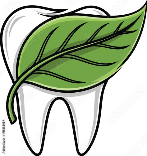 Tooth with Green Leaf Illustration.