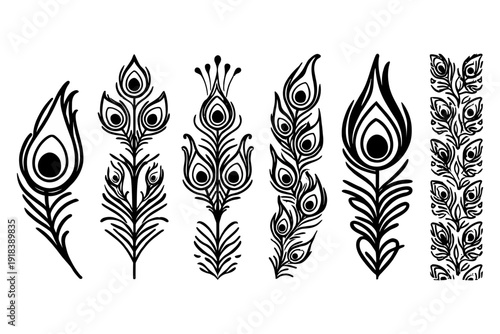 Peacock feather designs, black and white, decorative elements, ornate patterns