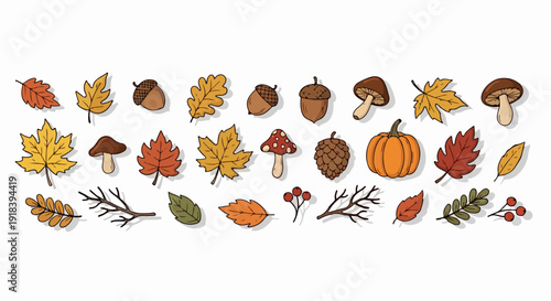 Coleção vibrante de elementos outonais desenhados à mão, incluindo folhas coloridas, abóboras, cogumelos e bolotas, perfeita para designs de temporada.