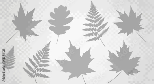 カエデ、オーク、シダなど、様々な種類の葉っぱのシルエットがグレーのトーンで描かれ、チェック柄の背景に配置された秋の自然をテーマにしたベクターデザイン。