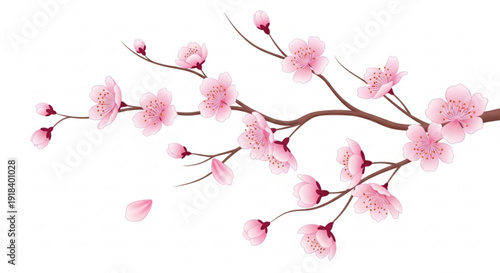 Blossoming cherry tree branch with pink flowers on white background symbolizing spring growth and renewal