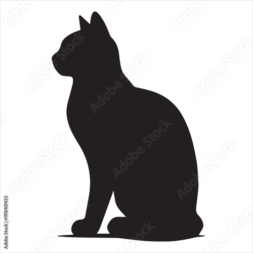 black cat silhouette