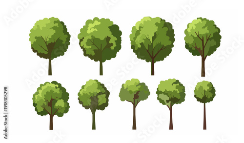 Stylized green deciduous tree collection with decorative crowns vector illustration isolated on white background