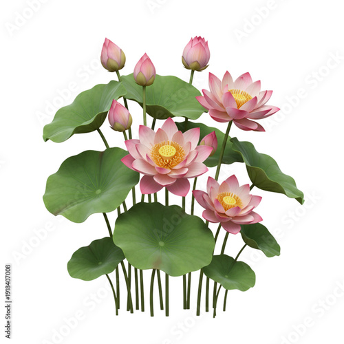 Decorative Lotus Flower Garden Realistic 3D Cinematic Isolated on White Background