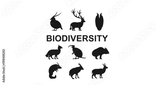 Collection of black silhouette icons representing diverse animal species for a biodiversity concept.