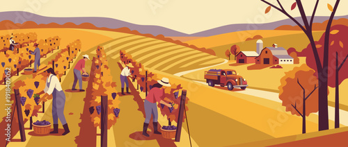 Flat vector illustration of an autumn vineyard harvest scene with farm workers picking ripe purple grapes, a vintage truck, and a rustic barn nestled among rolling hills and golden fields.