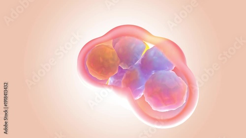 Looping molecular cell background. Busy cute colorful cell are merging or breaking out of their coverings. Abstract background for video about medical and scientific. 3D Render.