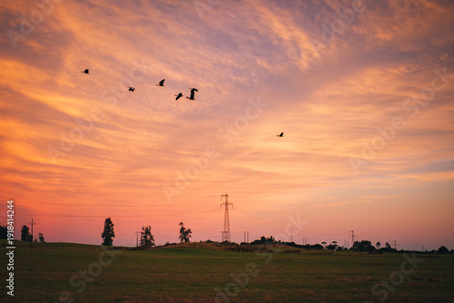 Energy and Nature at Sunset – Birds Flying Over Rural Landscape