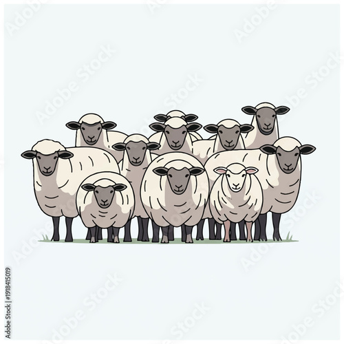 Group of Sheep Standing Together Illustration.