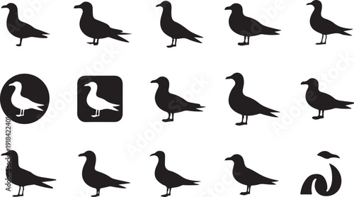 Collection of black silhouette seagulls in various poses and icons on a white background Keywords: seagull, bird, silhouette, flying, standing, icon, symbol, wildlife, nature, animal, sea, ocean